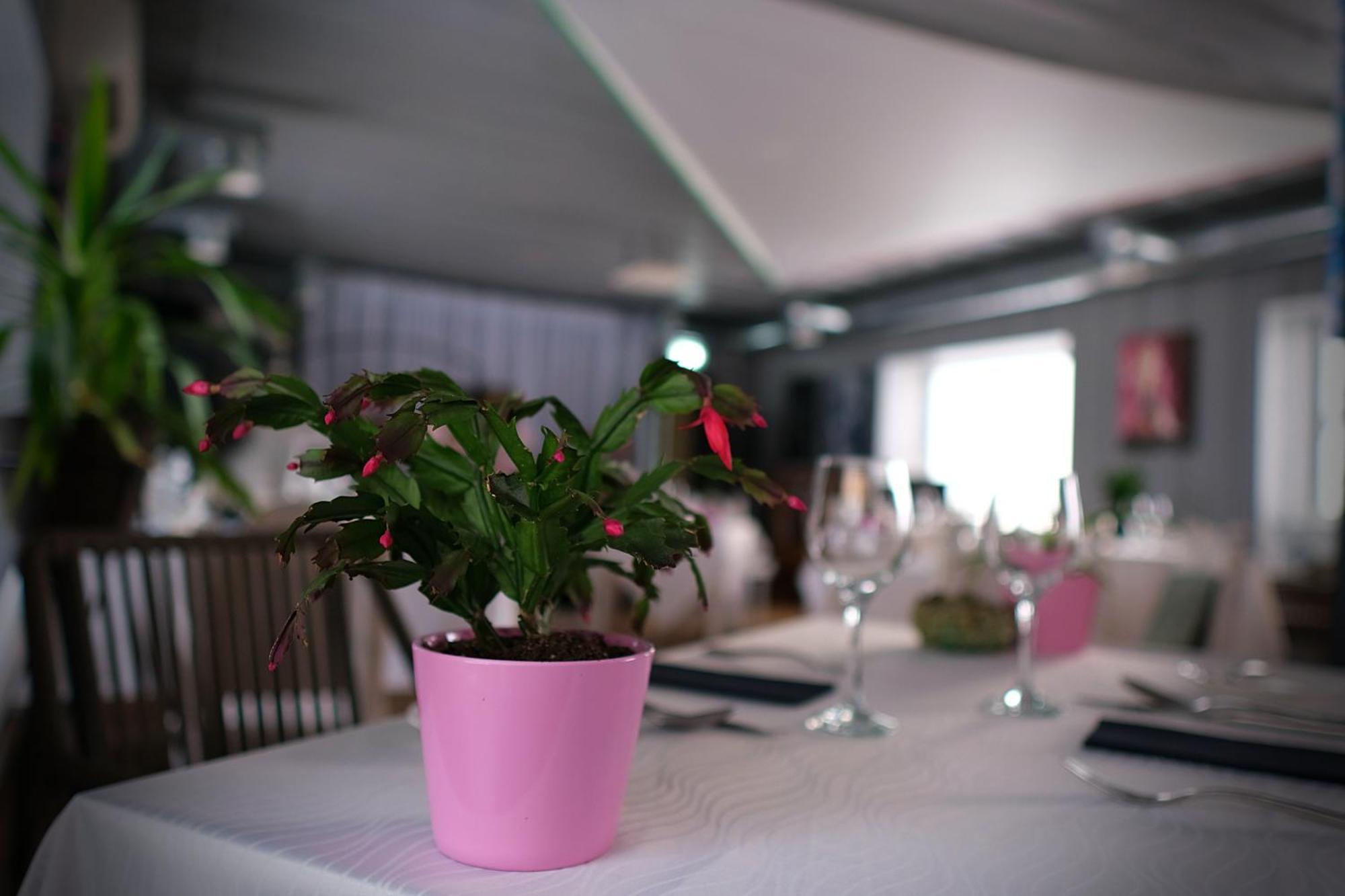 Vergi Sadam & Restoran Wirkes' Eksteriør bilde